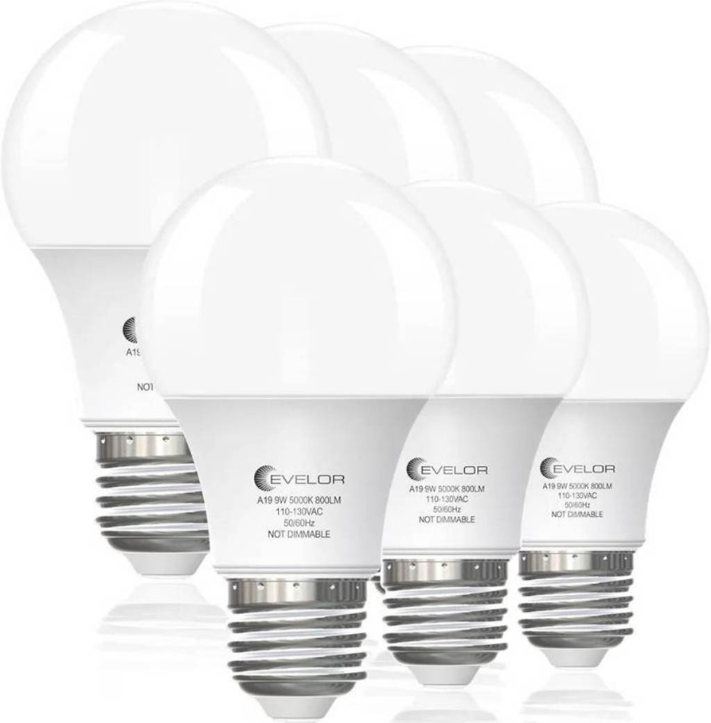 6-Pack A19 LED Light Bulbs